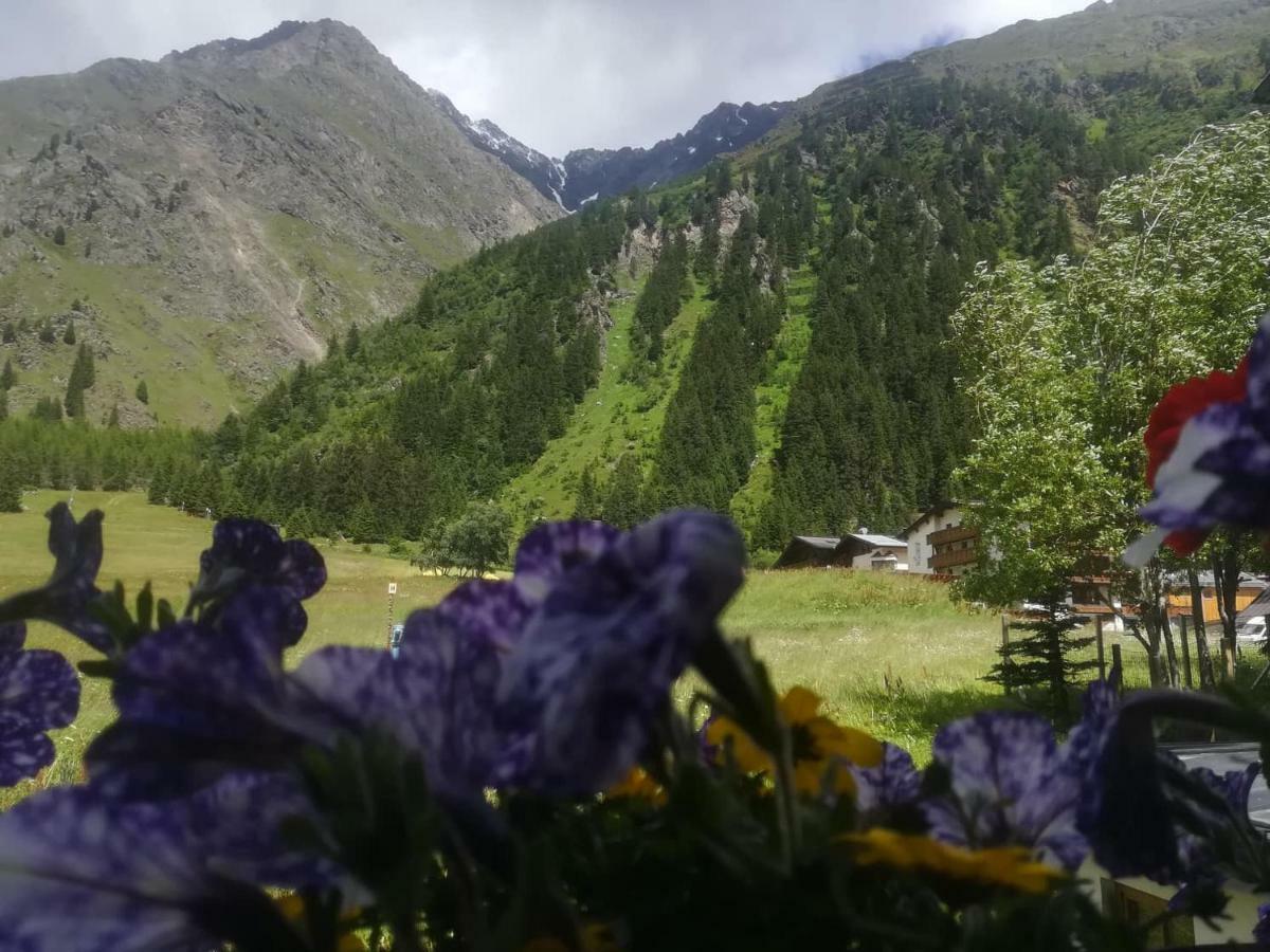 Haus Pechtl Otel Sankt Leonhard im Pitztal Dış mekan fotoğraf