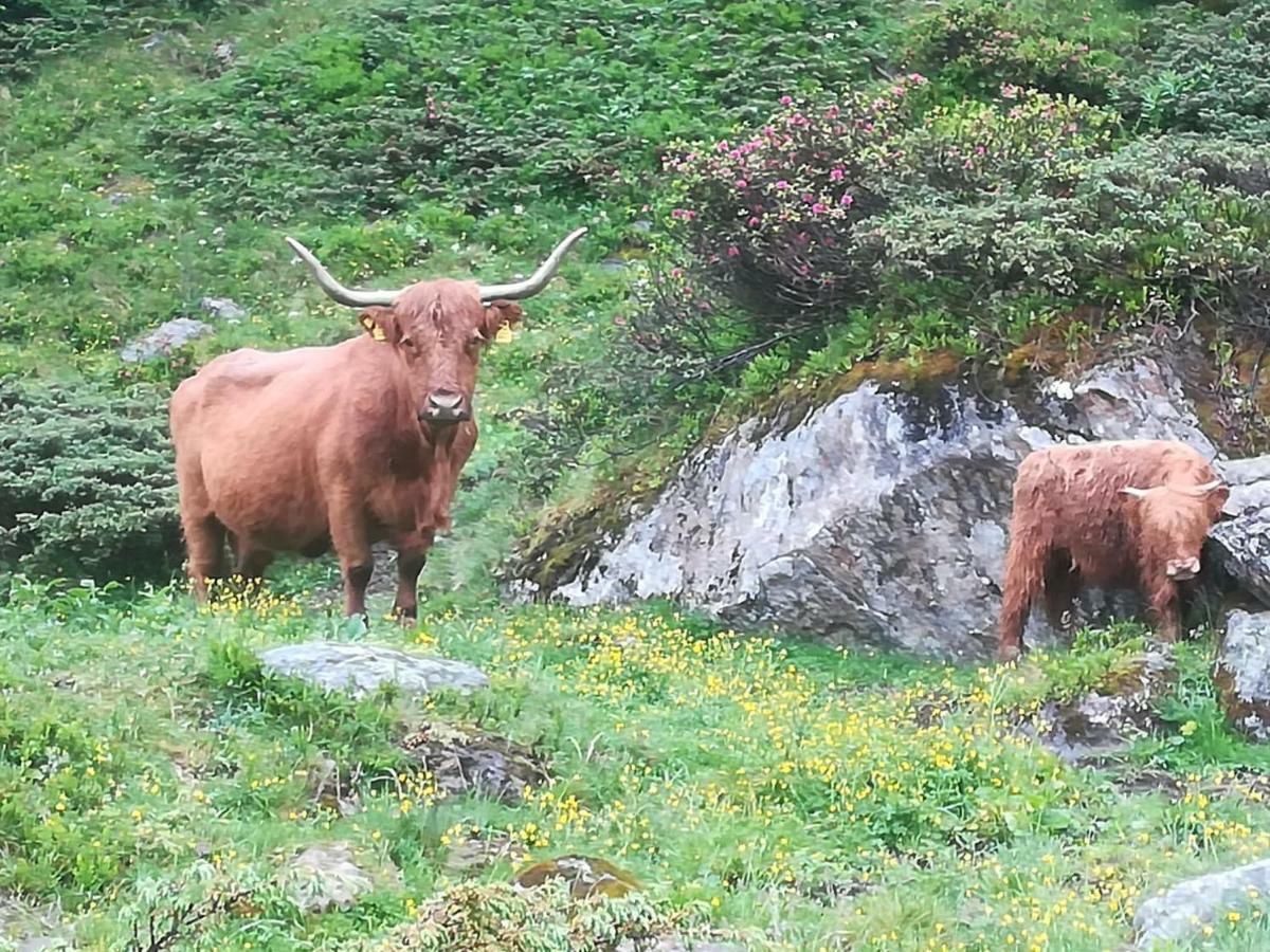 Haus Pechtl Otel Sankt Leonhard im Pitztal Dış mekan fotoğraf